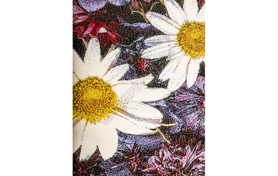 Шерстяной ковер Hunnu 6A2366 176 (Монголия)